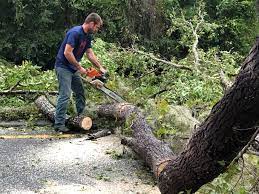 Best Leaf Removal  in Janesville, WI